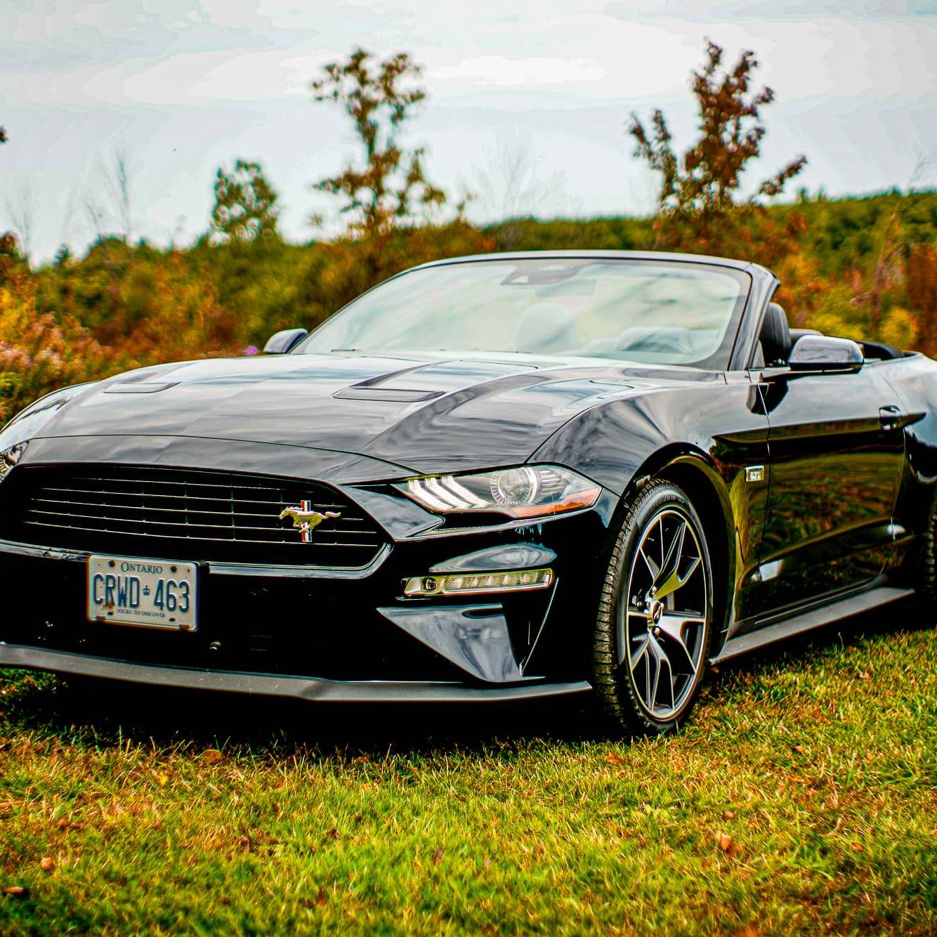Ford Mustang GT Convertible Canada